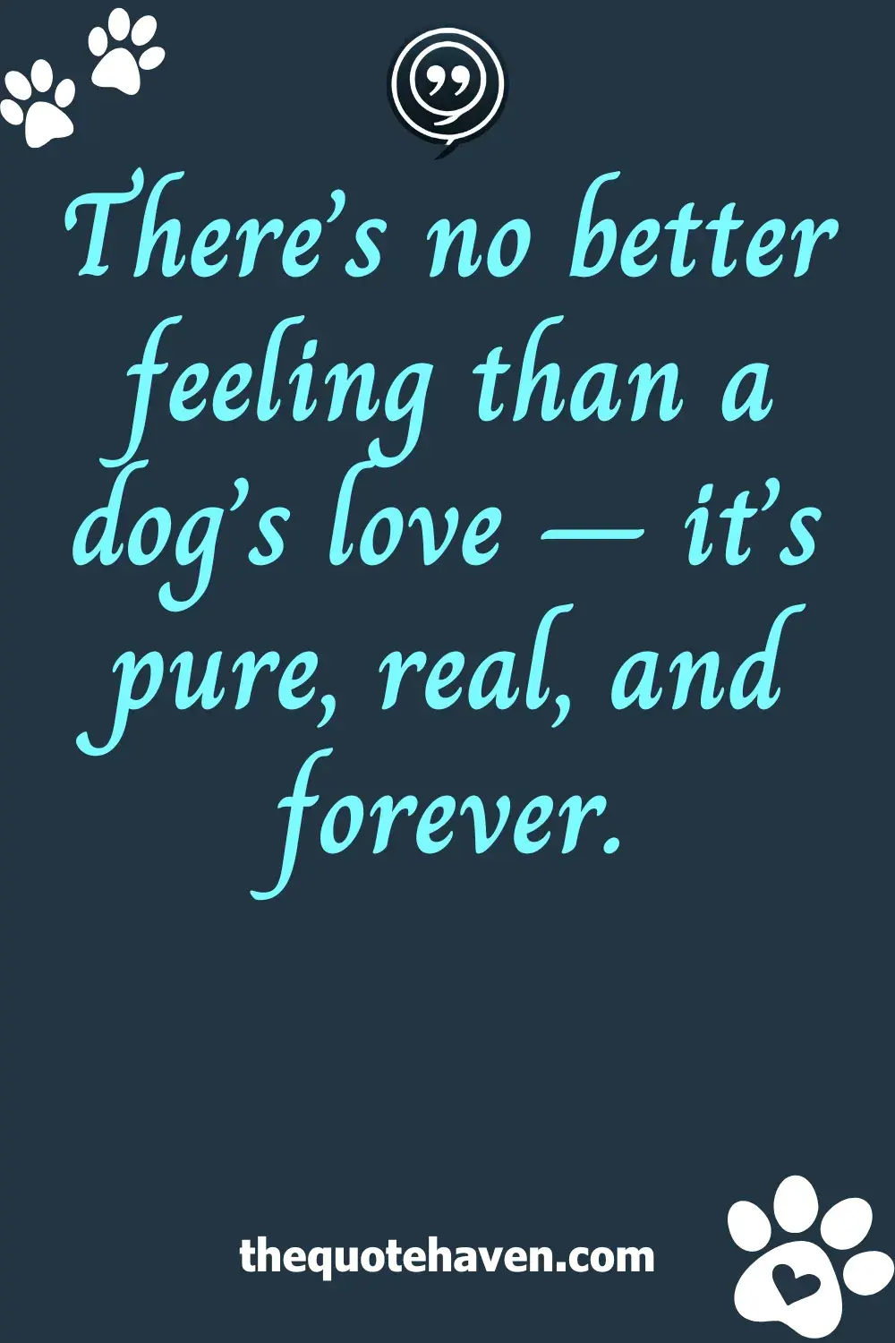  Dog Love Quotes.