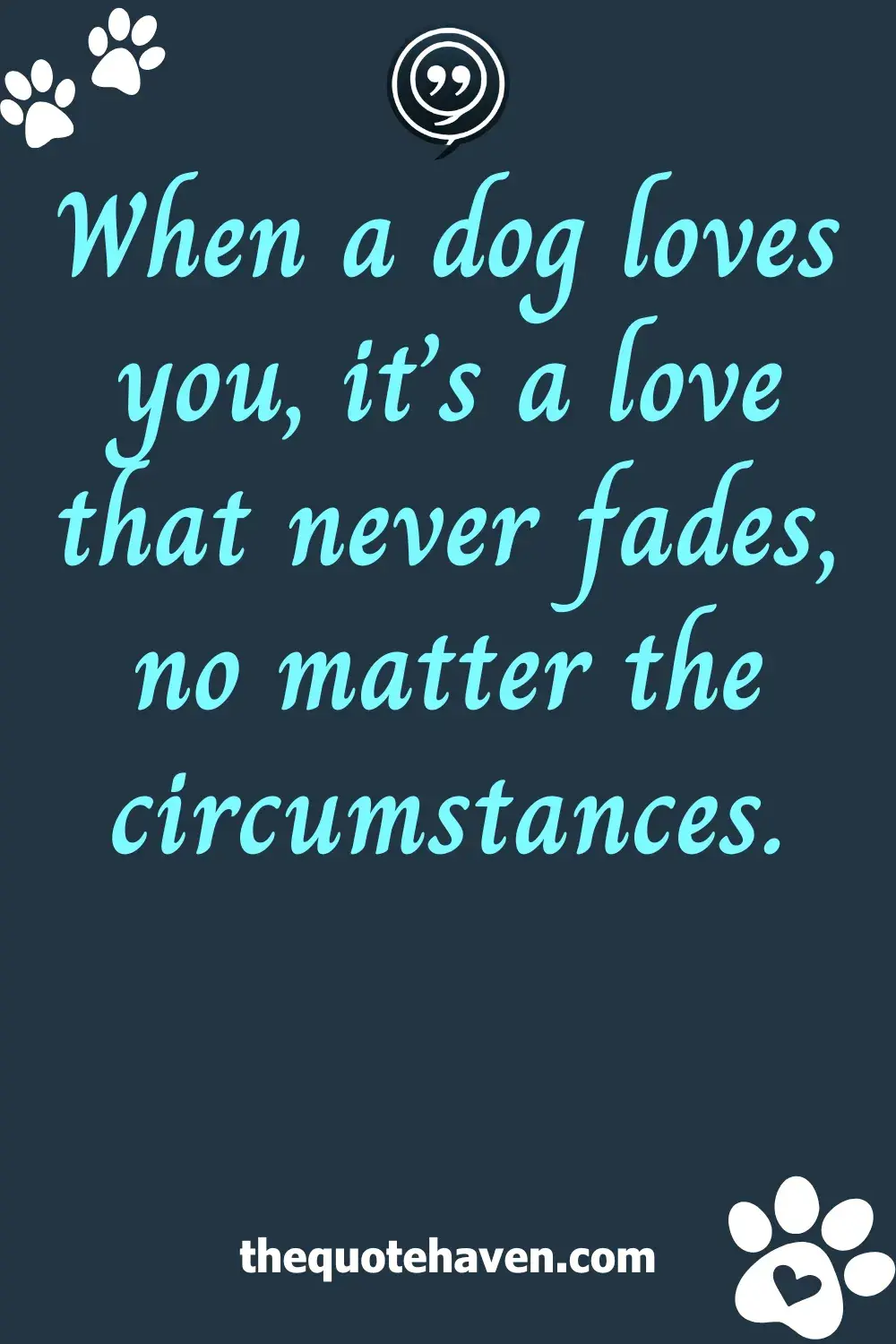  Dog Love Quotes.
