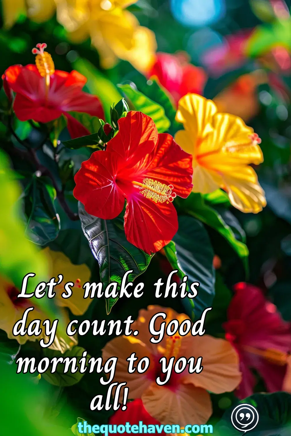  Good Morning Captions