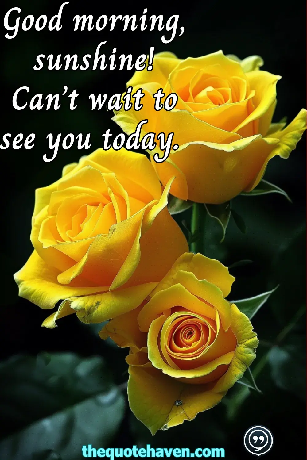  Good Morning Love SMS Quotes