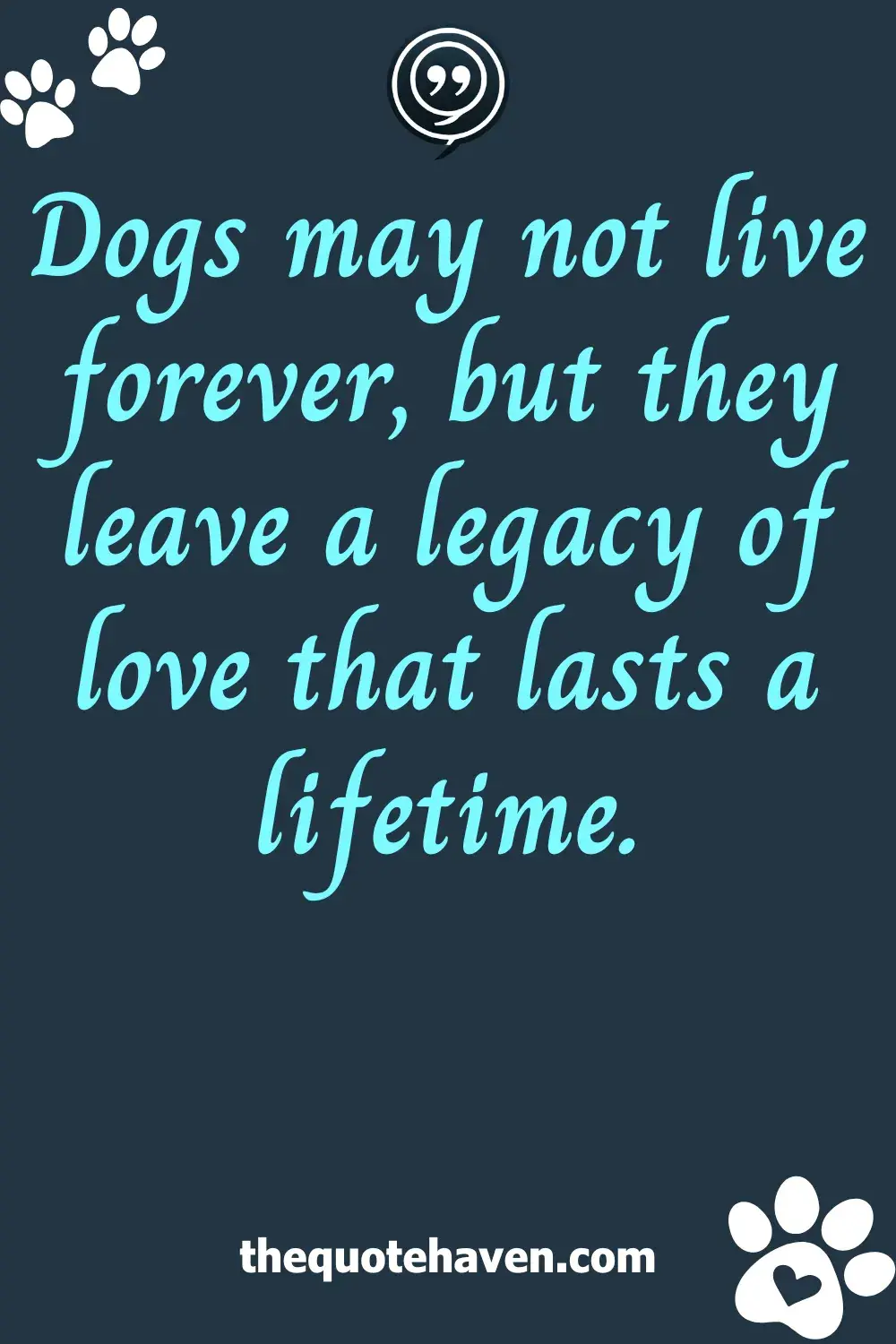  Meaningful Dog Quotes.