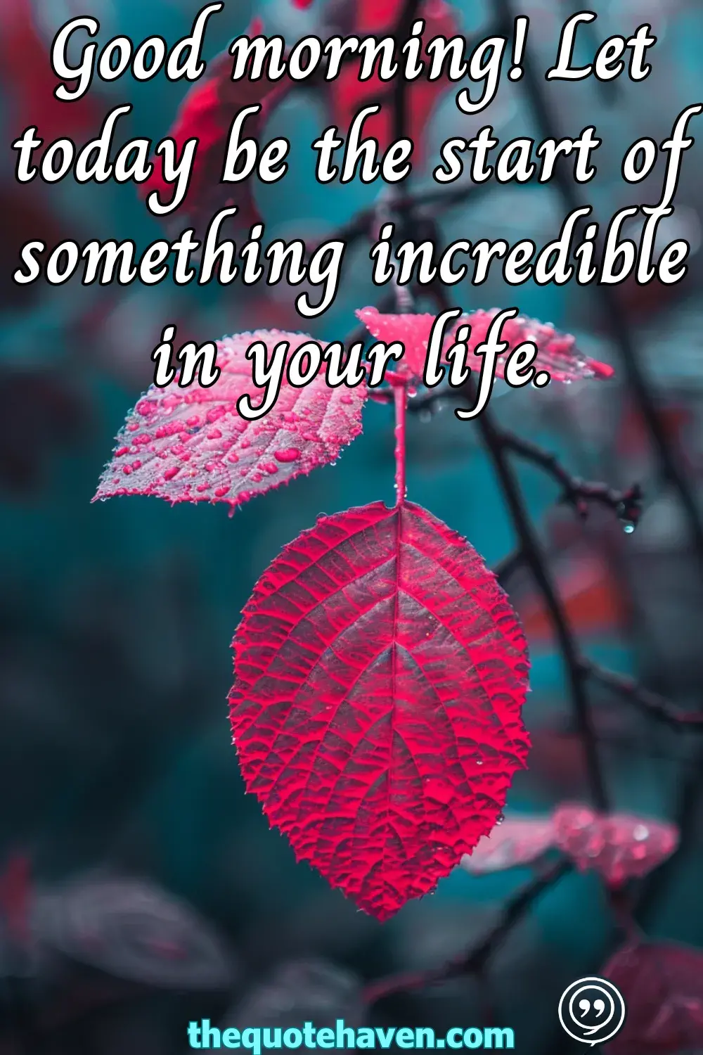  Positive Morning Quotes