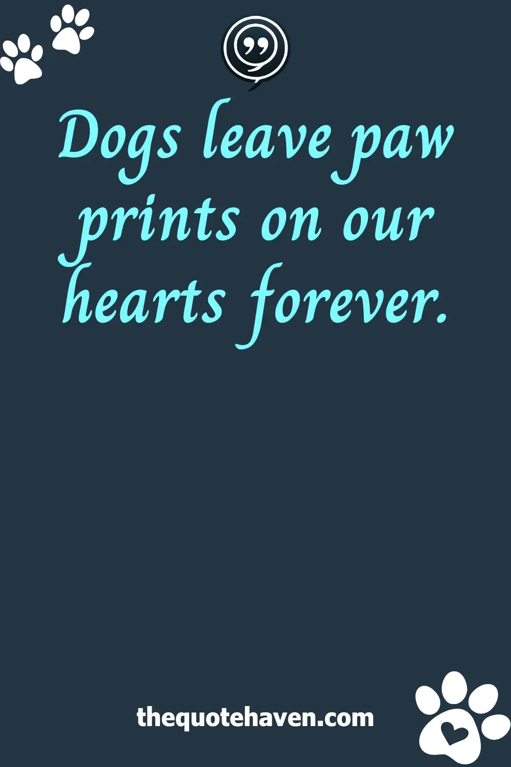  Quotes on Losing a Dog