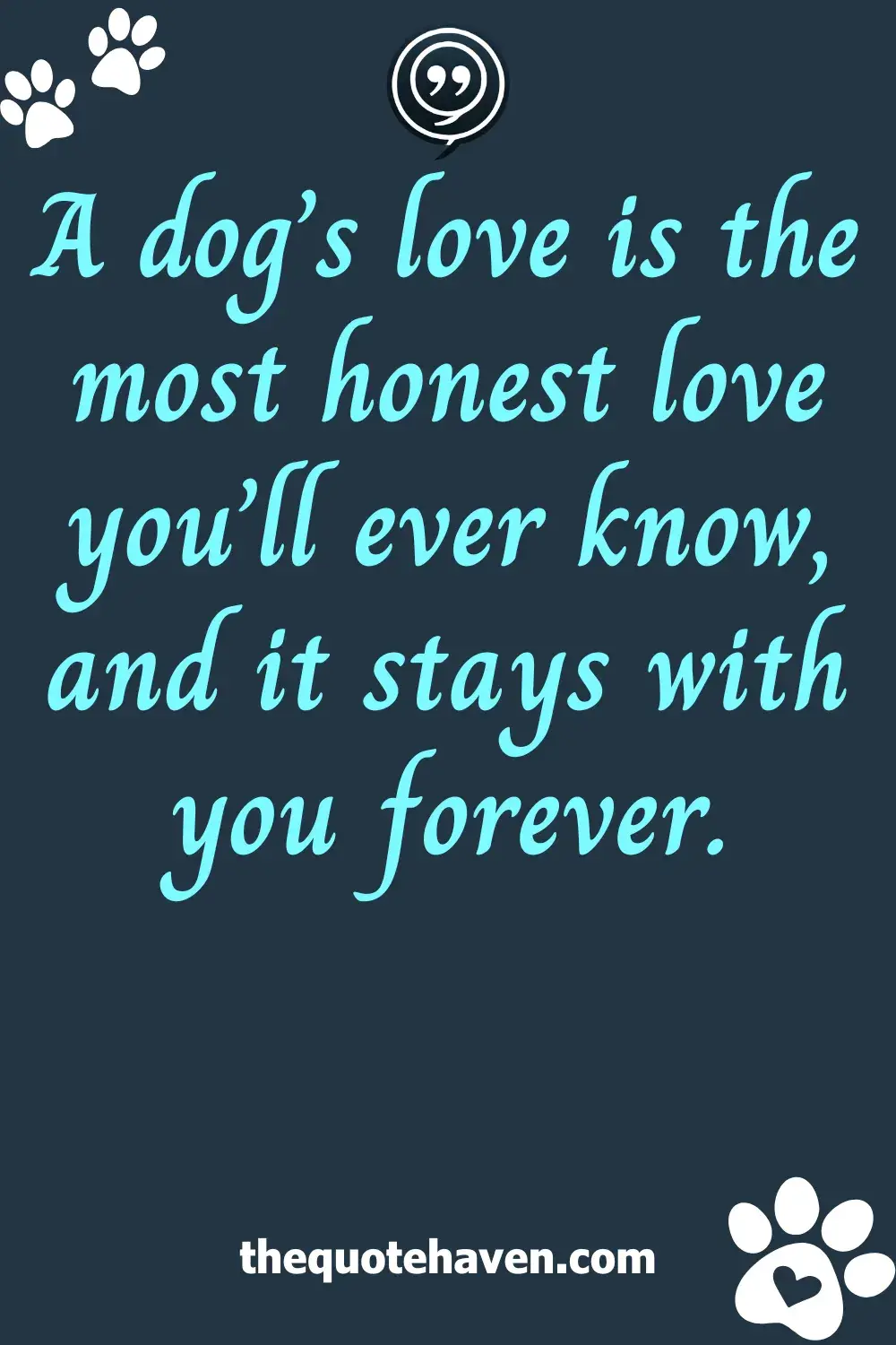  Quotes on Losing a Dog.