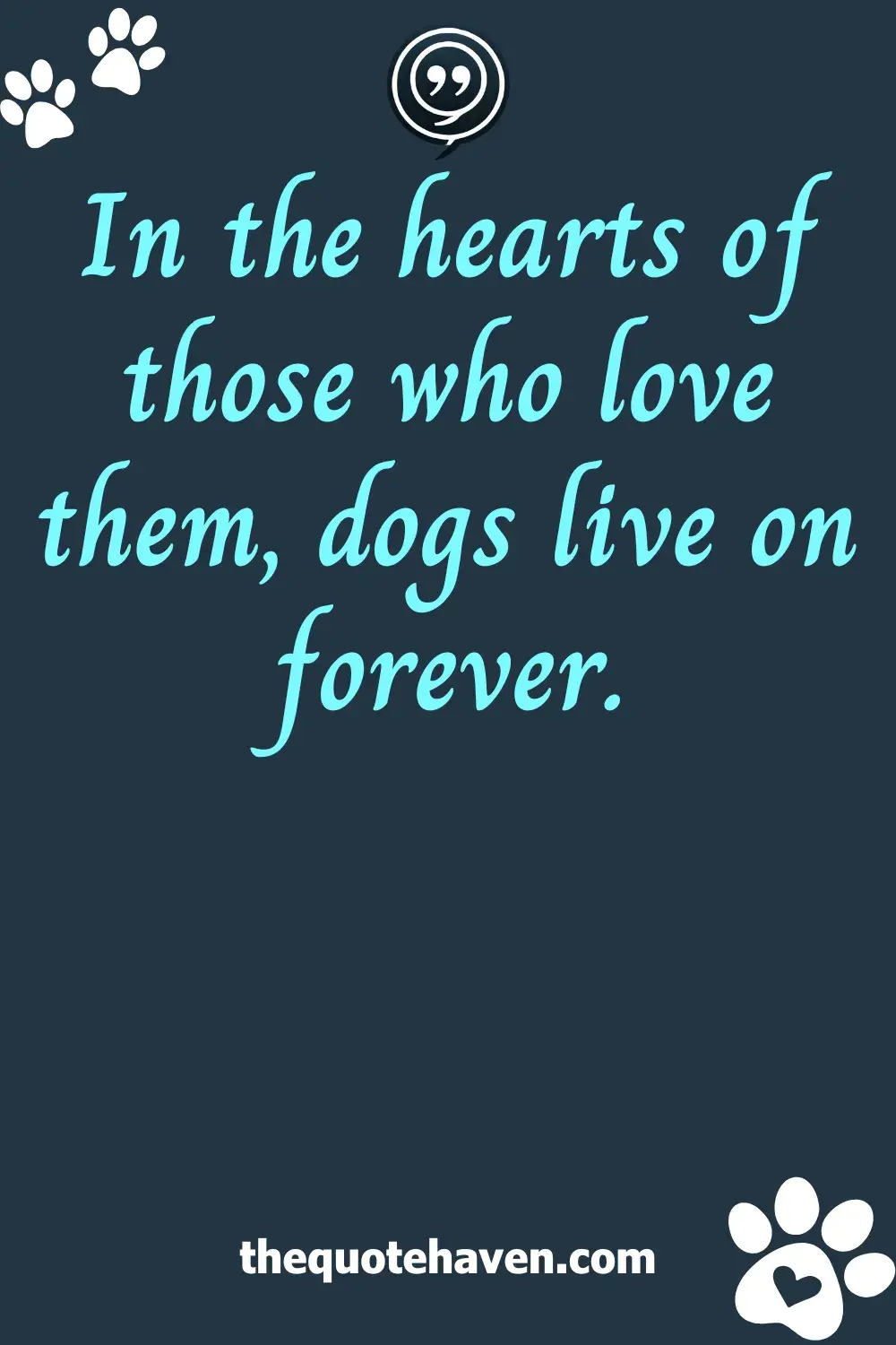  Quotes on Losing a Dog.