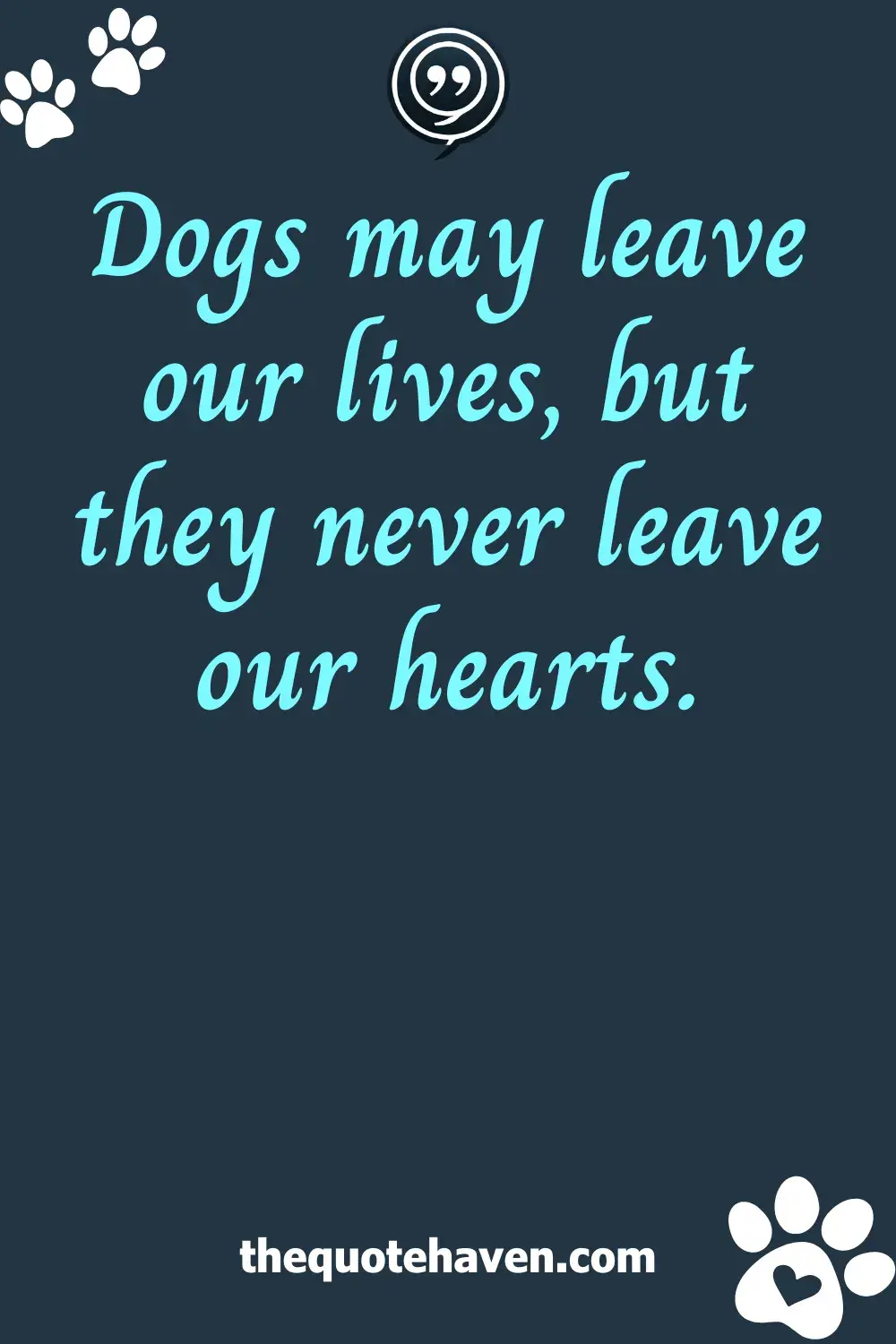 Quotes on Losing a Dog.