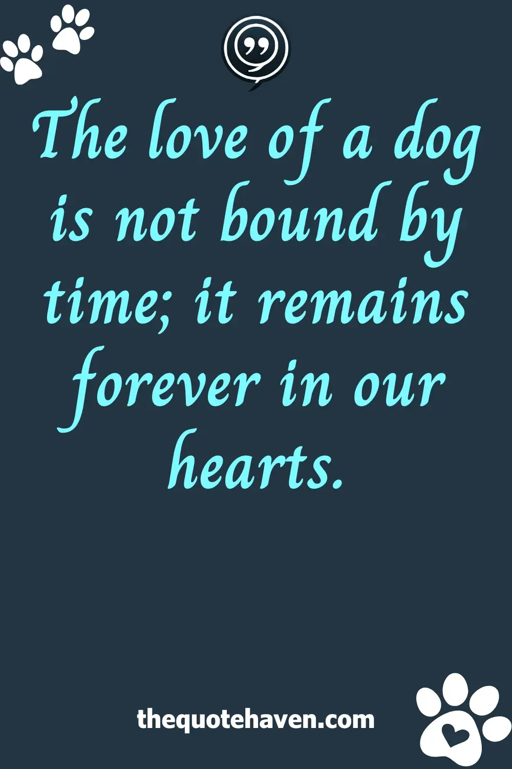  Quotes on Losing a Dog.