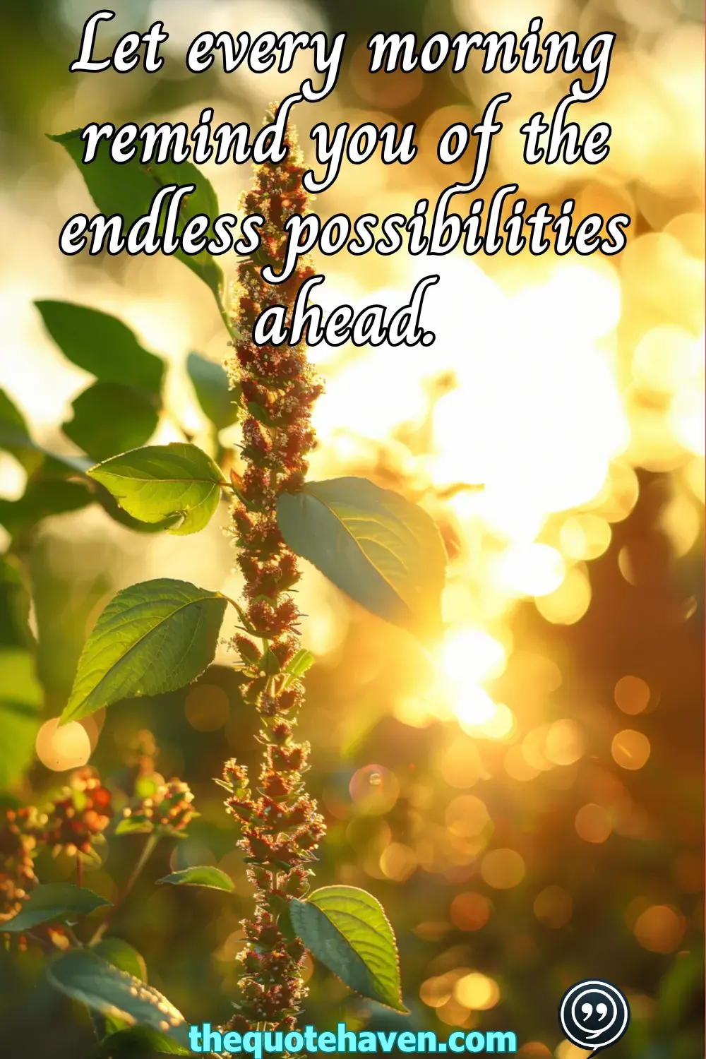  Spiritual Good Morning Quotes