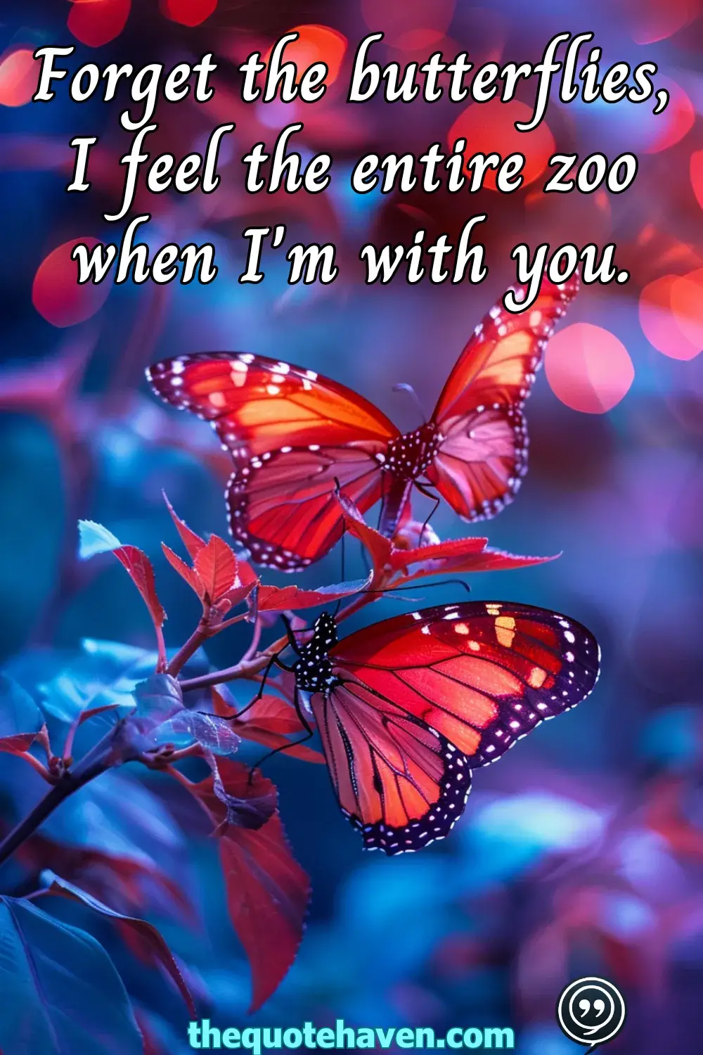  Witty Valentine’s Day Quotes