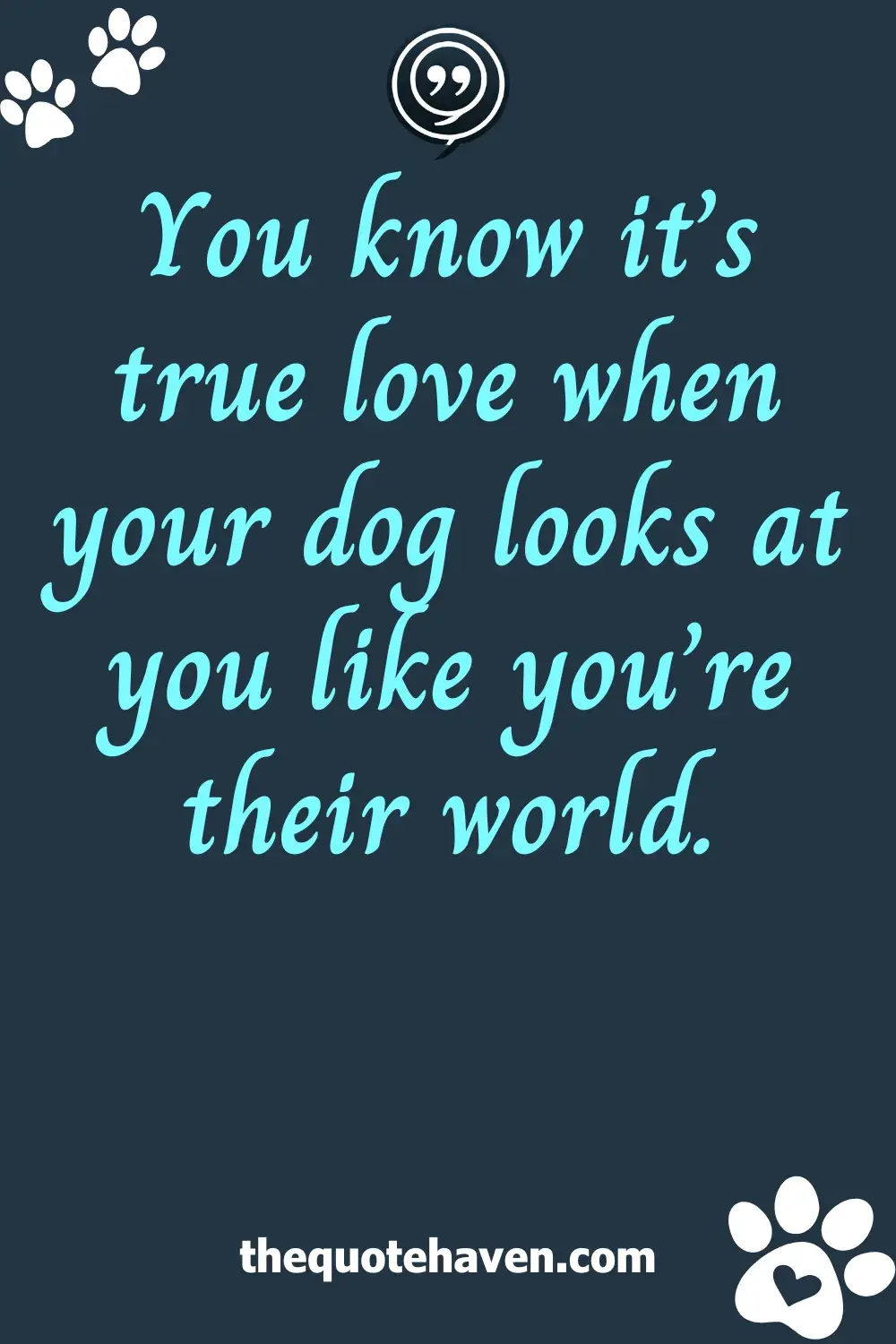  Dog Captions for Instagram.